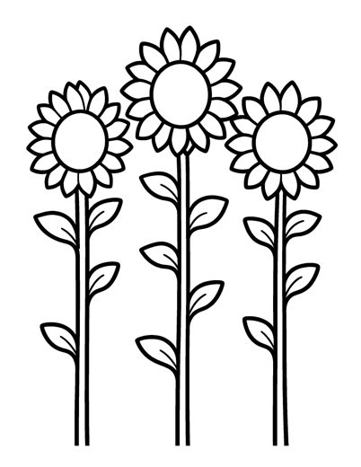 Three tall sunflowers side by side with big round centers