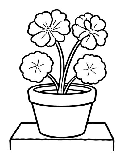 A clay flower pot holding three big round geranium flower clusters drawn as simple smooth round shapes
