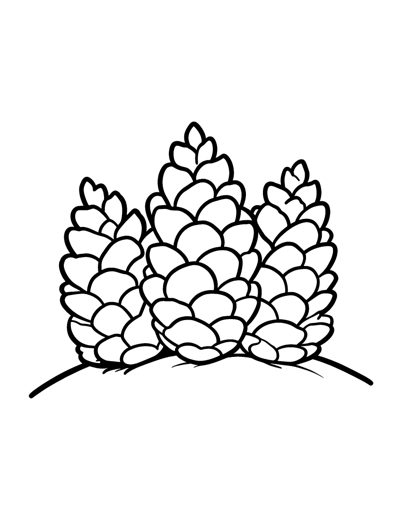 Three big pine cones lying together on a small smooth mound of snow