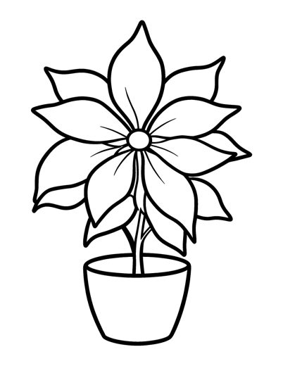 A poinsettia in a pot