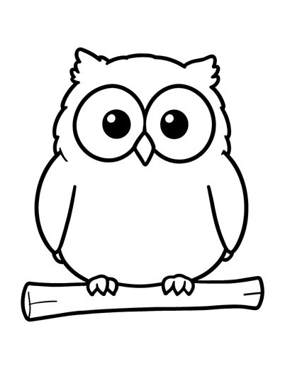 A round fluffy owl with big round eyes sitting on a short branch